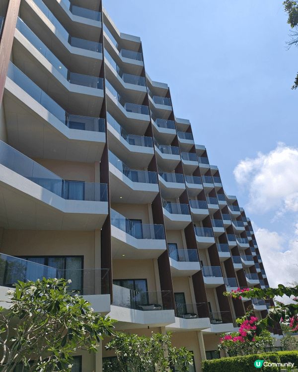 一張係日本之行,另一張係越南之旅，同屋企人去就係開心