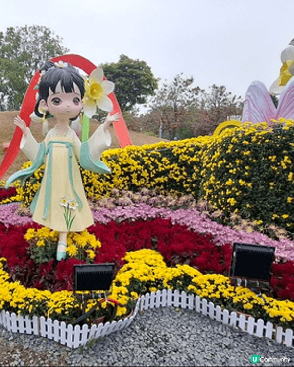 中山真係好好玩，可以去萬象匯shopping,，可以去小欖菊...