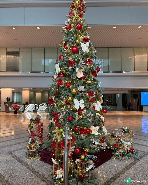 又係辣媽好介紹！#親子活動 #親子 #深圳好去處 #養生之選...