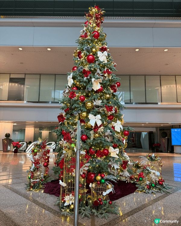 又係辣媽好介紹！#親子活動 #親子 #深圳好去處 #養生之選...