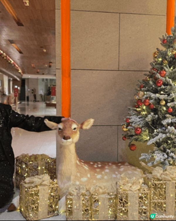 因為去飲宴，所以發現好正的聖誕佈置，有點北歐式，有雪人、有白...