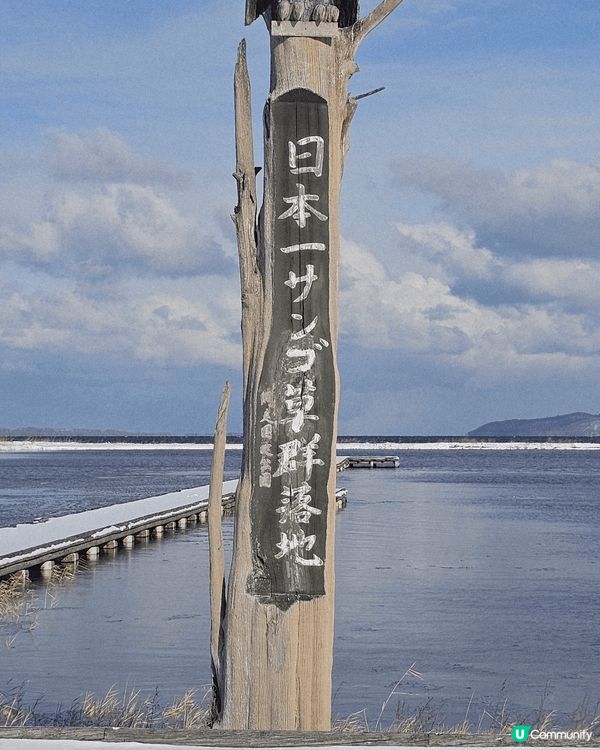 網走卯原内珊瑚草群生地！冬天湖上面結曬冰！夏天就會好多紅色嘅...
