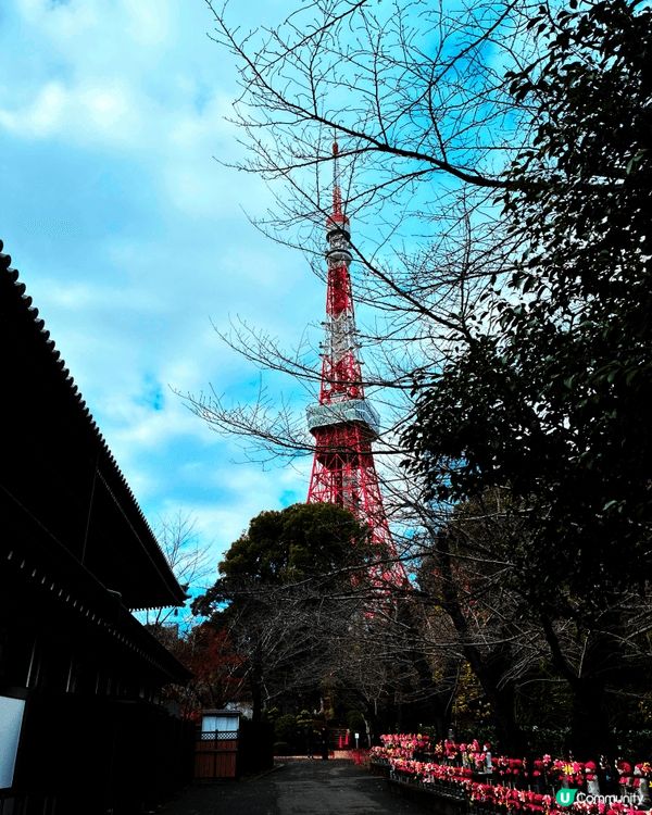 今日在增上寺拍嘅東京鐵塔，同埋夜晚喺淺草街頭拍嘅晴空塔