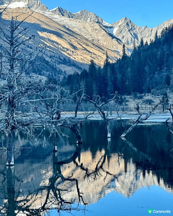 這個冬天不太冷，先暫別城市的喧囂，飛去真正寒冬的城市感受一下...