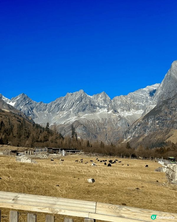 這個冬天不太冷，先暫別城市的喧囂，飛去真正寒冬的城市感受一下...