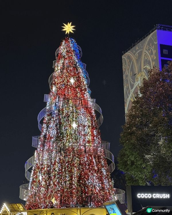 中環遮打花園的燈飾與裝飾，大型聖誕樹、燈光裝置及主題佈置，適...