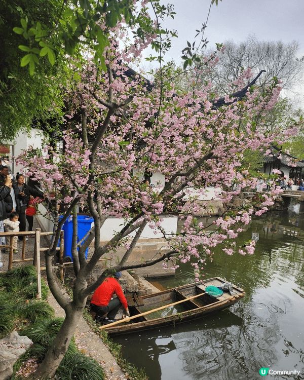 上海蘇州風景如圖， 城隍廟 朱古力特色商店 目不暇給 價錢相...