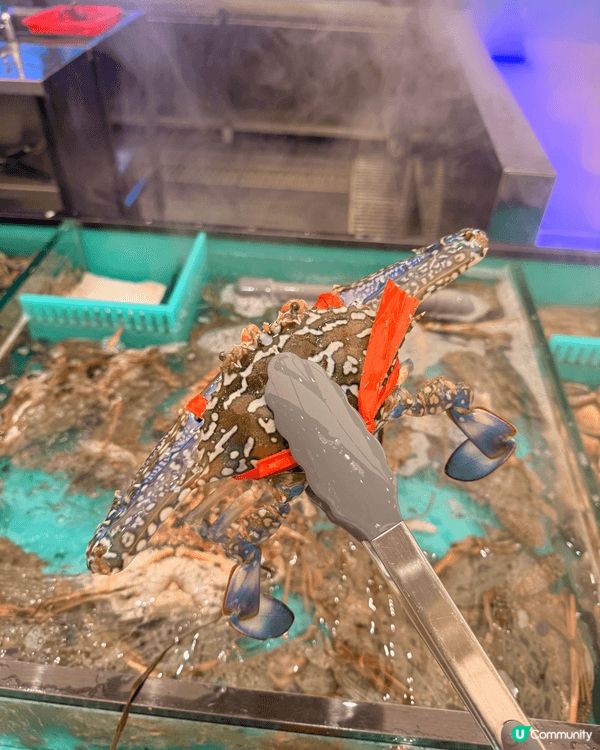 人均$338(包加一)任食海鮮放題🌟 [多款鮑魚、蝦、蟹、生...