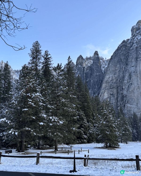 聖誕氣氛滿滿！Yosemite打卡分享節日喜悅