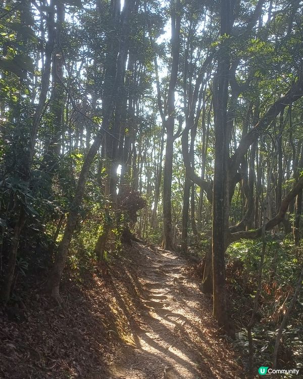 粉嶺車站 至 嘉道理農場