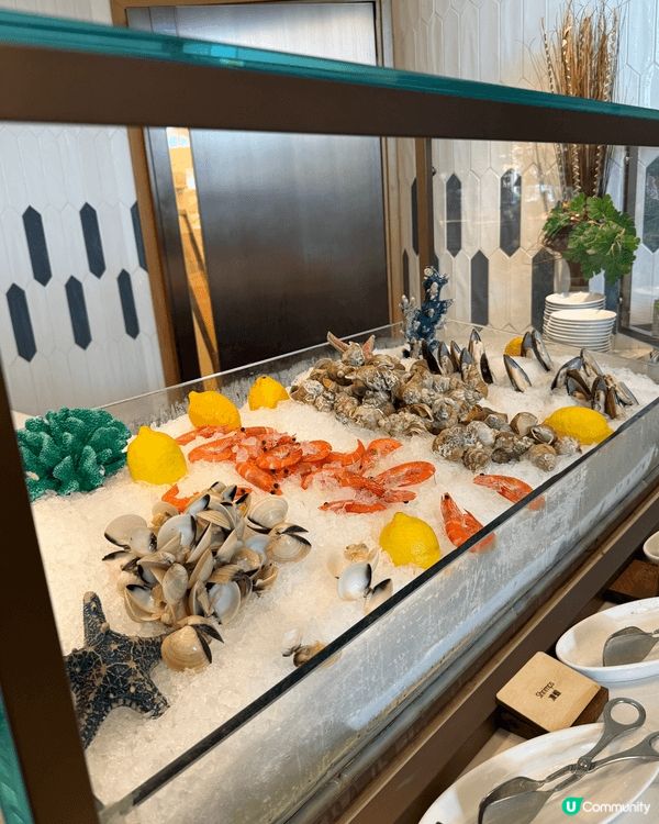 假日很喜歡到屯門黃金海岸酒店食自助餐，因為環境十分寫意舒適，...