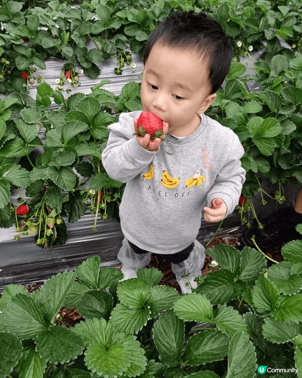 阿仔最鍾意食食食