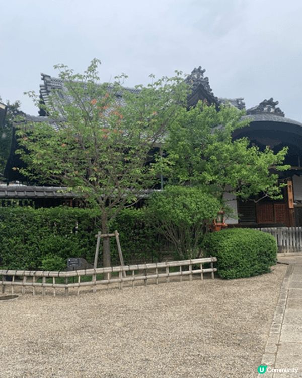 京都駅上蓋商場食抹茶甜品，可以坐低慢慢享受車站嘅外景，嘆雪糕...