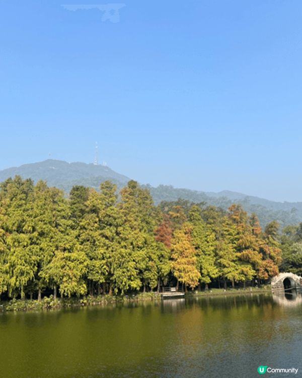 這裏是新會著名嘅陳皮之鄉，圖中的是新會玉湖，秋天風景優美，漫...