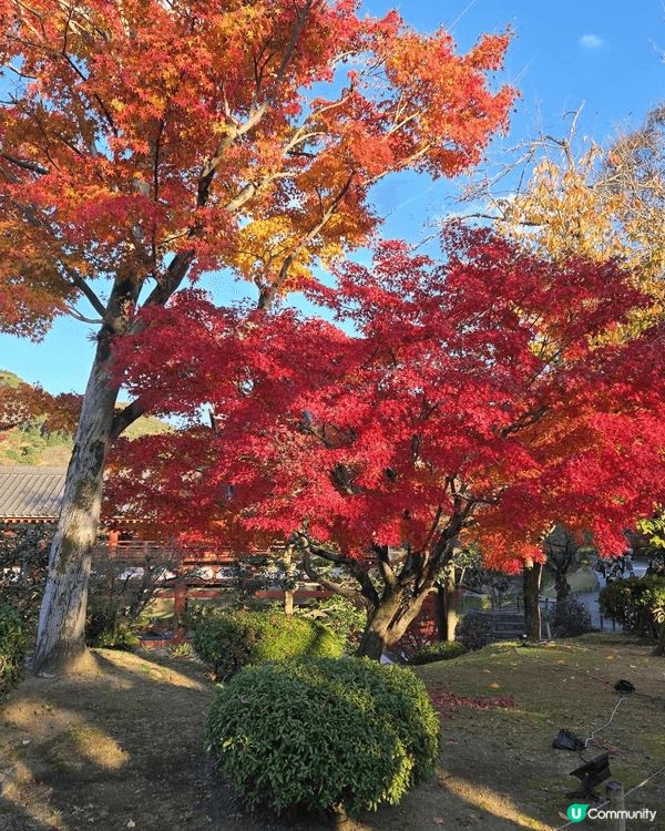 平等院位於京都宇治市，是著名的聯合國教科文組織世界遺產之一。...