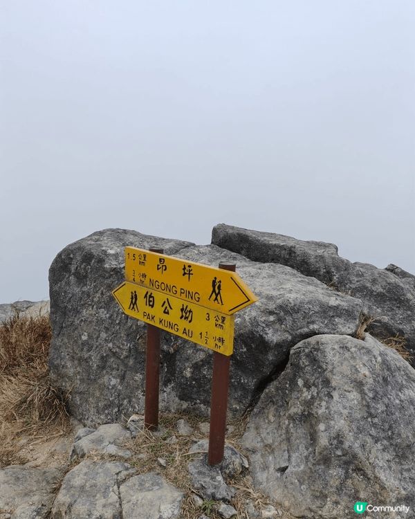 冬日必行山徑，連走鳳凰山及大東山，一路欣賞北大嶼山的山景，一...