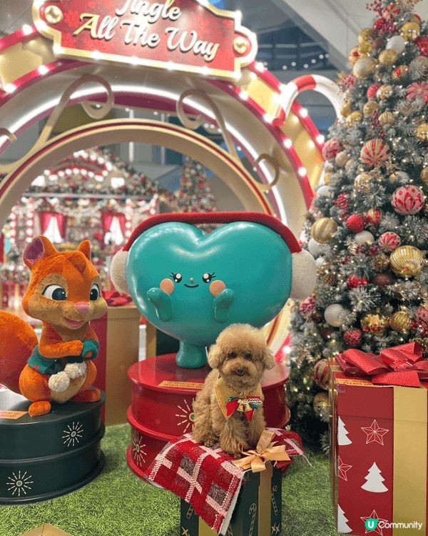臨近聖誕🎄歡樂嘅氣氛佈滿全港🥳