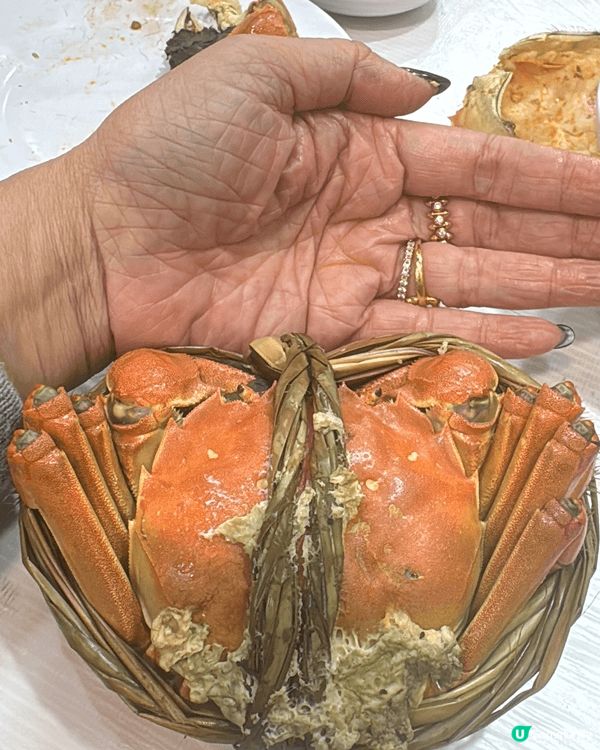 咁大個女都未食過10兩重嘅大大閘蟹，超級多高多肉好好味大滿足...