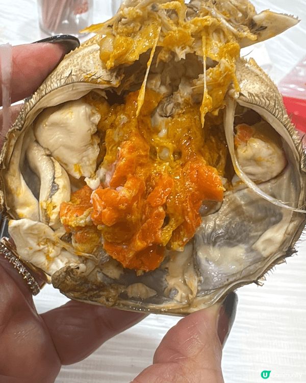咁大個女都未食過10兩重嘅大大閘蟹，超級多高多肉好好味大滿足...