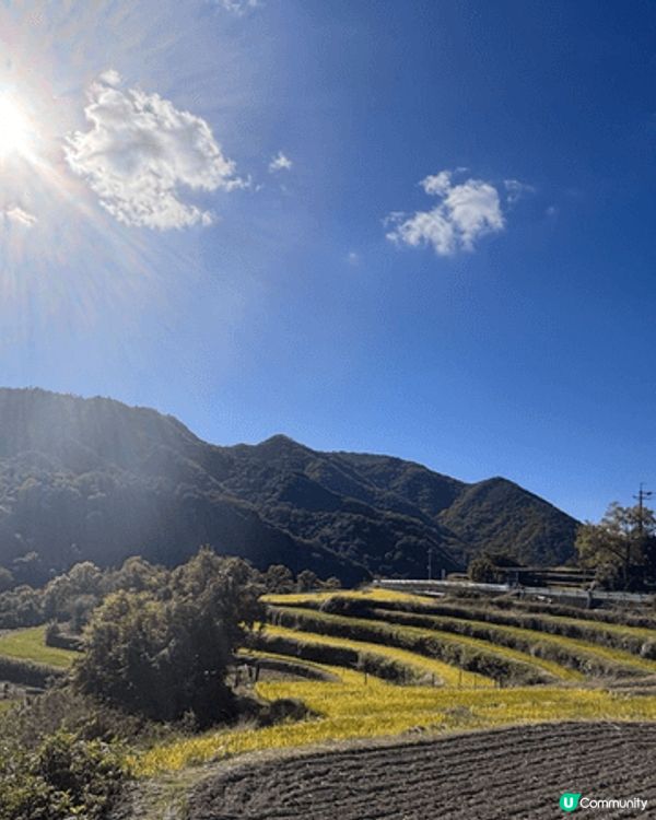 於四國悠閒地賞楓，打卡，享受美食