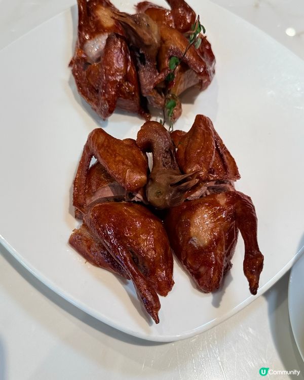 荃灣如心文樂園🥢！咕嚕肉必食😋！高質中菜！