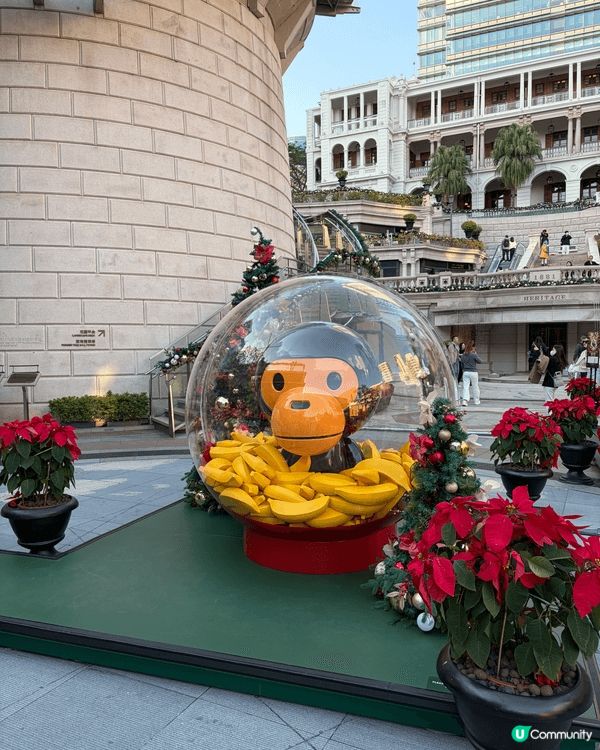 香港1881商場今年聖誕一樣好有節日氣氛🎄，而且整個廣場都換...