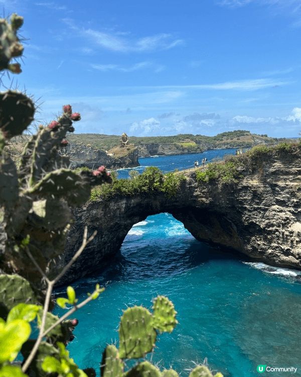 峇里島是個很棒的旅遊地點，真的值得一去！如果你想要放鬆心情，...