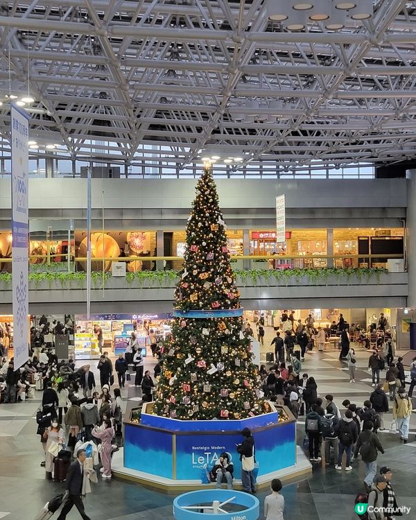 北海道雪景之旅🍁❄️！零度以下都值！😋