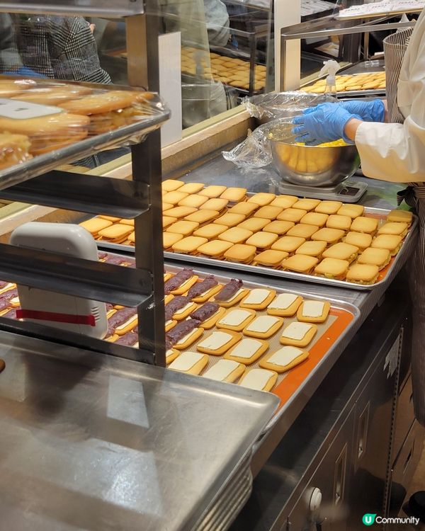 北海道雪景之旅🍁❄️！零度以下都值！😋