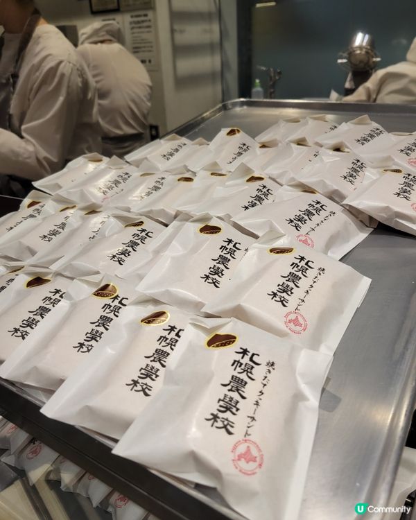 北海道雪景之旅🍁❄️！零度以下都值！😋