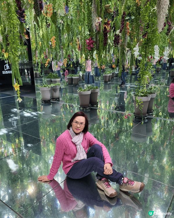 #社群生日快樂 - 韓國秋色很美，红葉！銀杏樹！波波草！浮潛...