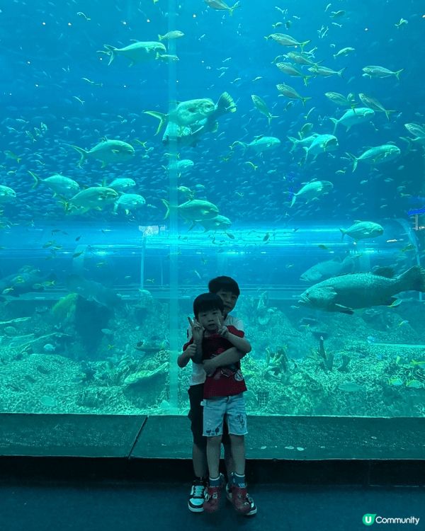 就在今年九月份，我們帶了小朋友到富國島旅遊，去了動物園和水族...