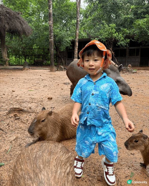就在今年九月份，我們帶了小朋友到富國島旅遊，去了動物園和水族...
