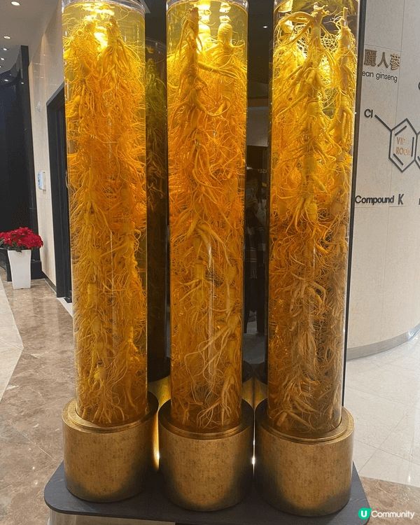 南韓內藏山欣赏紅葉美景，又參觀人蔘專門店及瞓榻榻米，難忘的經...