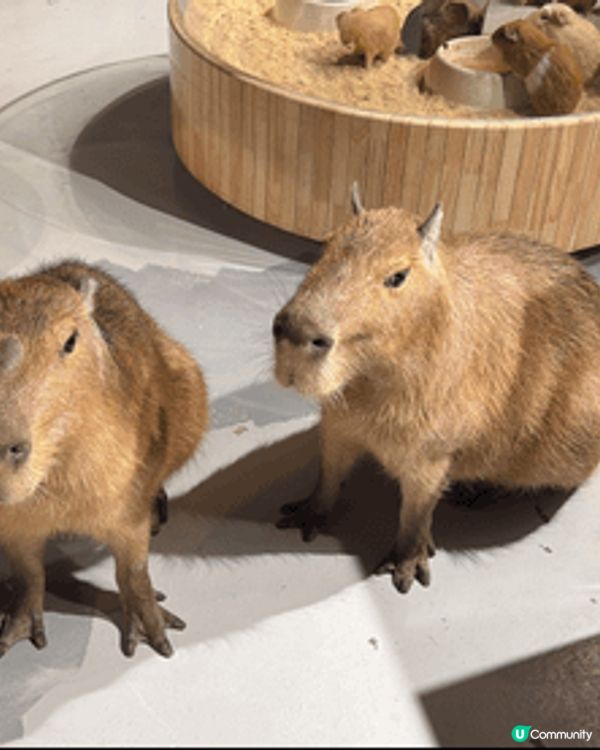 #我想去AIA嘉年華