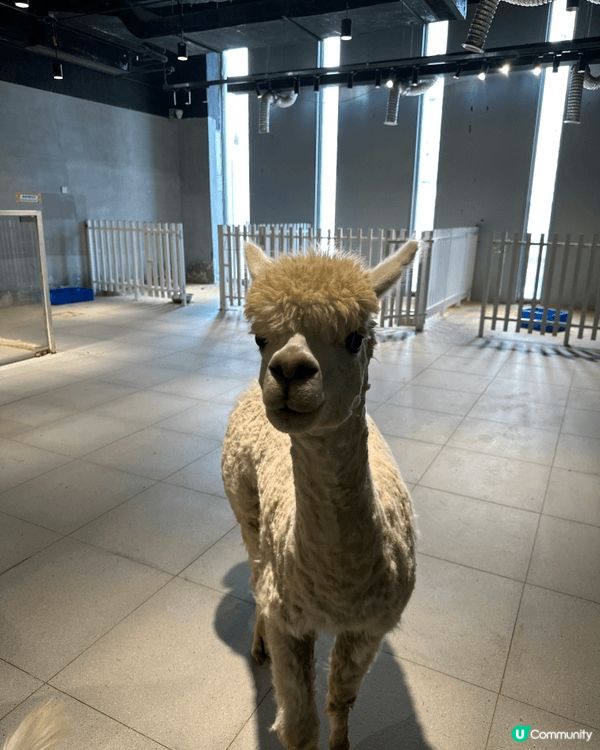 #我想去AIA嘉年華