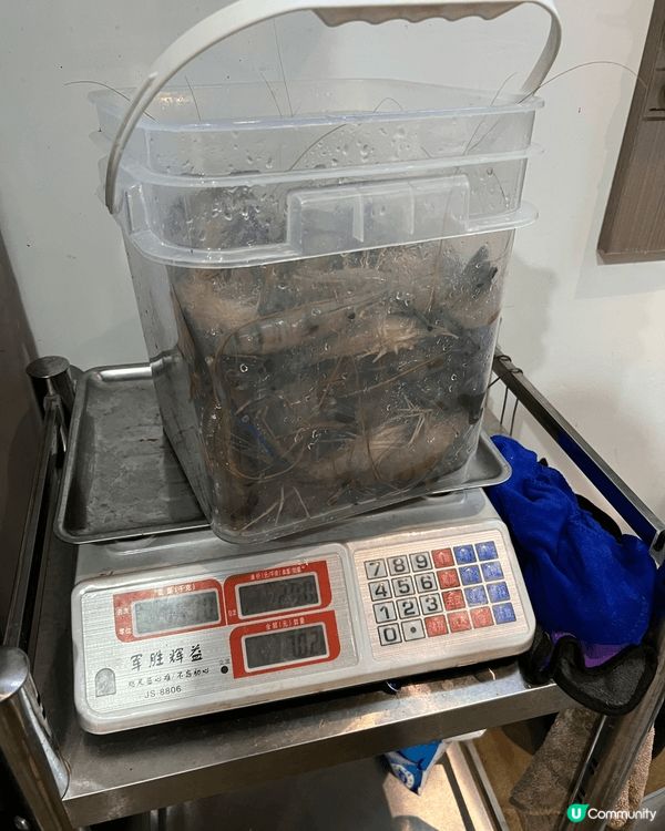 釣蝦寶藏店，新手都可以釣到超多蝦，仲包埋白灼，無論男女老幼都...