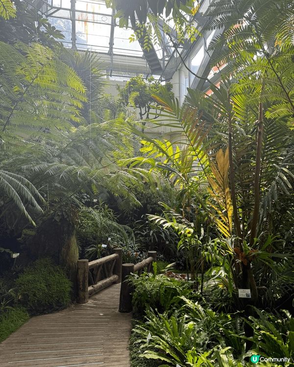 香港公園位於中環商業區綠洲，佔地8公頃。中央有人工湖及壯觀瀑...