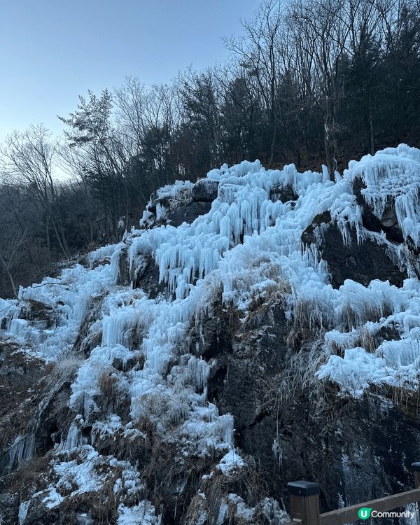 韓國大邱達城郡的琵瑟山冰雕園區真係好壯觀，有人造冰瀑布景觀，...