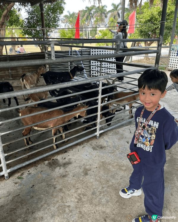 去錦田農莊玩足一日 又有士多啤梨摘 又有得喂羊 仲有車車玩 ...