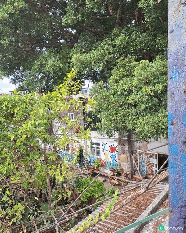 久違唔飛住可以去下香港嘅小島坪洲