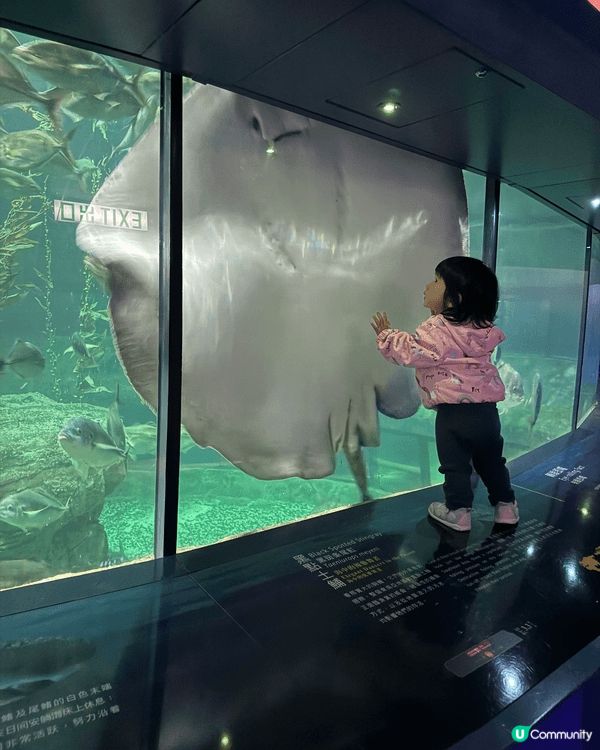 海洋公園