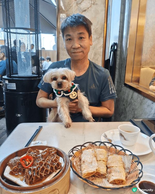 狗狗開心去西九文化中心等睇靚新年煙花估估估