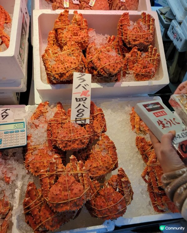 北海道蟹の誘惑🦀！過敏都要食！😋
