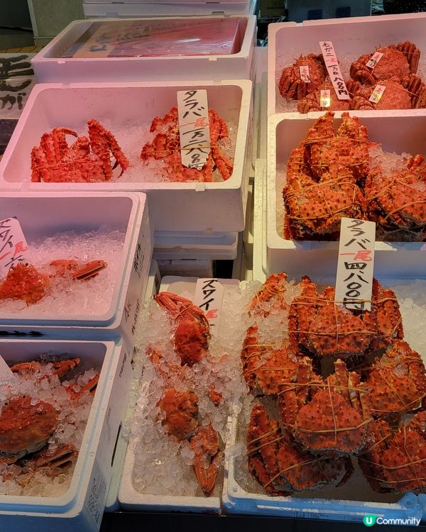 北海道蟹の誘惑🦀！過敏都要食！😋