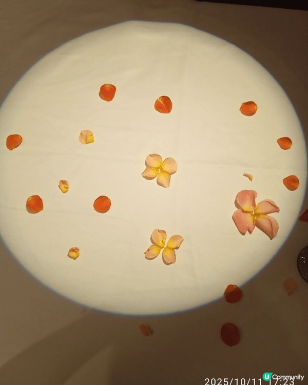 俄士廚房單人餐