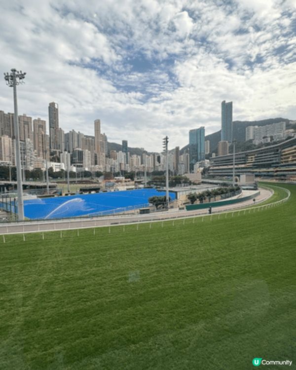 馬場並非成人的專利，也可以進行親子活動，帶小朋友到香港馬會博...