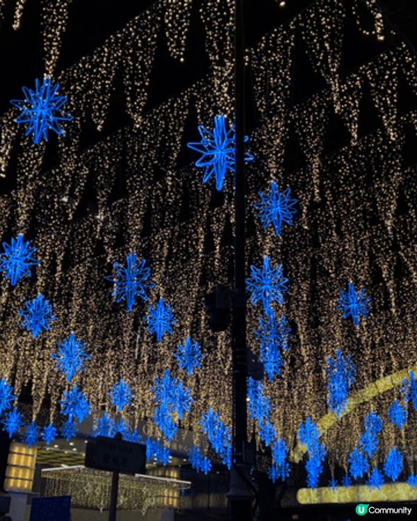 聖誕節好去處，聖誕大餐，尖東，寵物聖誕，性格比好高呀！除夕都...