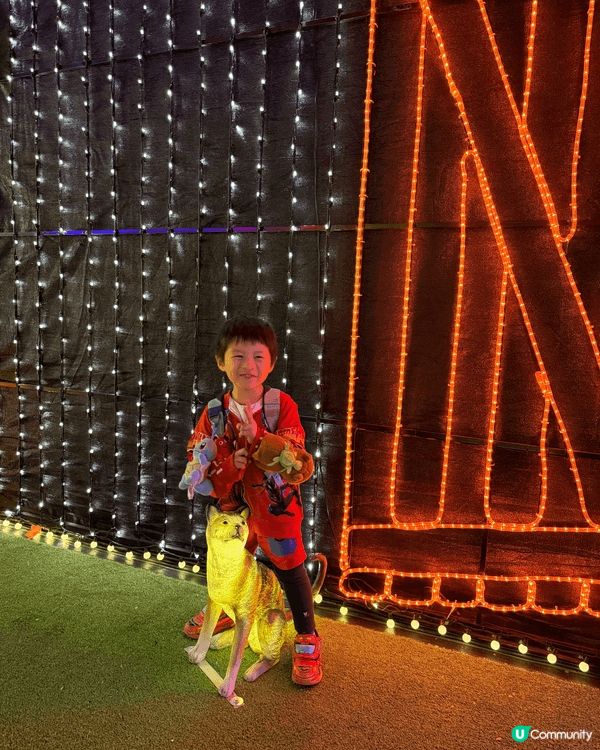 帶小朋友去位於灣仔碼頭的Festilumi，嗰度啲燈飾，簡直...