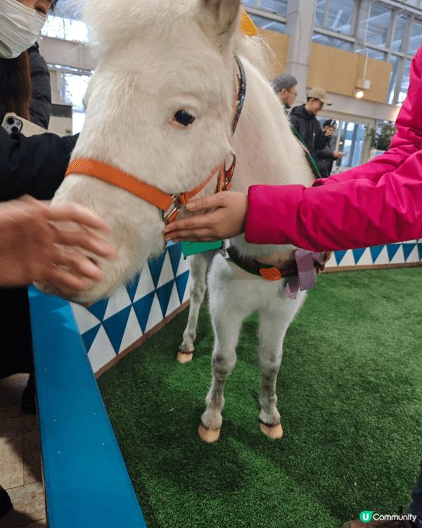 Northern Horse Park 北國優駿公園